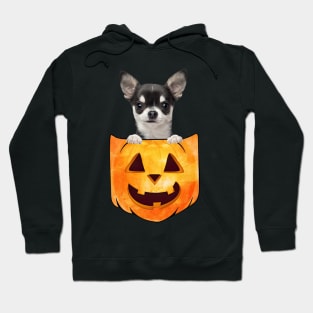 Black Chihuahua Dog In Pumpkin Pocket Halloween Hoodie